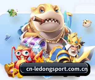 乐动注册围绕看球场景设计的核心服务